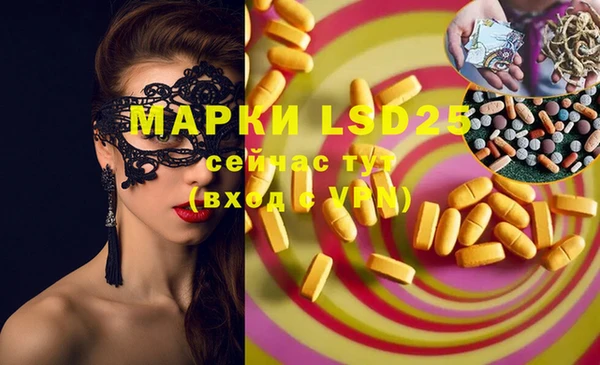 стаф Майский