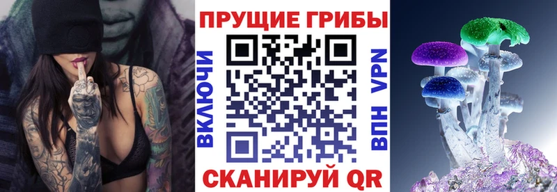 Галлюциногенные грибы прущие грибы  закладка  Приволжский 